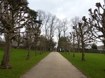 FZ004558 View from St Fagans castle.jpg